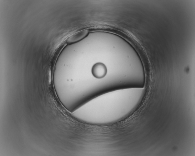 X0000116051269200912111455