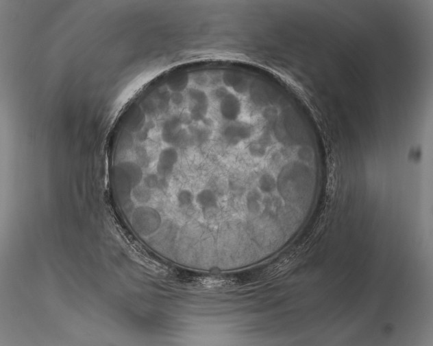 X0000116051271200912111455