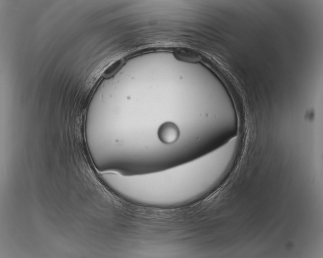 X0000116051273200912111455