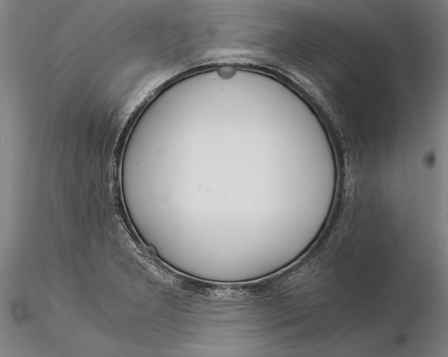 X0000116051277200912111455