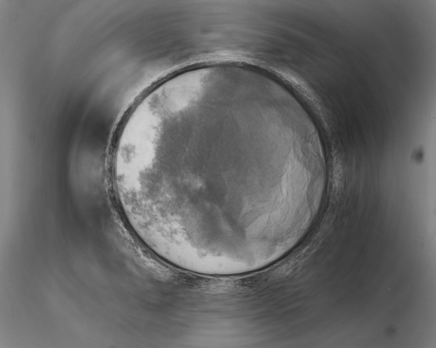 X0000116051278200912111455