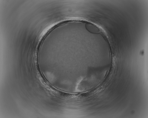 X0000116051279200912111455