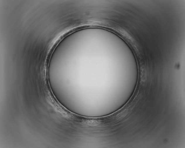 X0000116051280200912111455