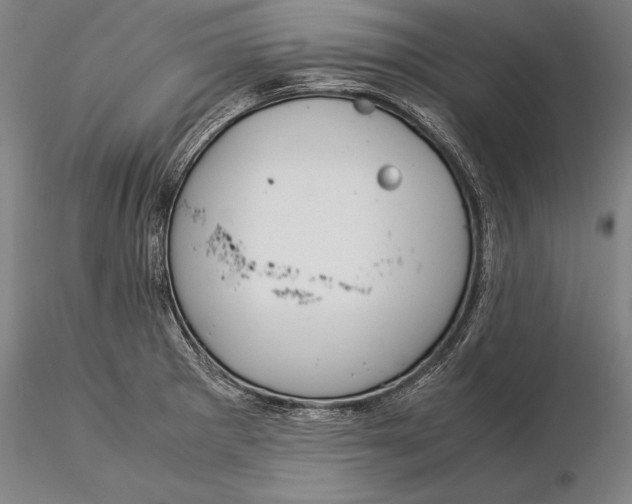 X0000116051281200912111455
