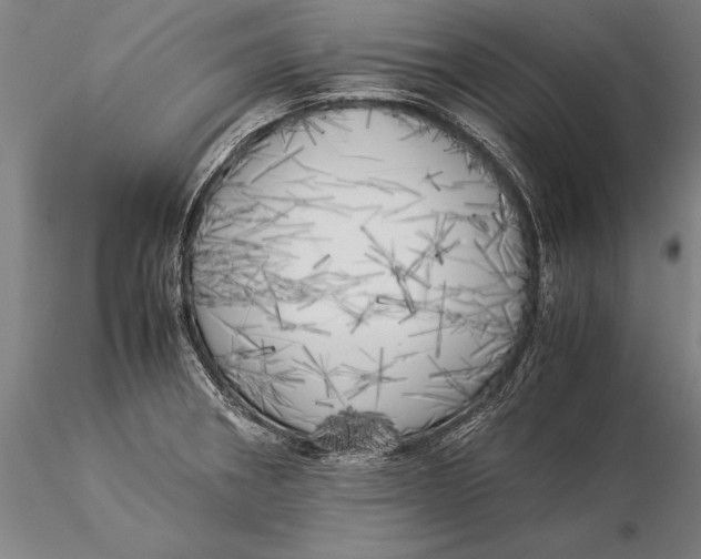 X0000116051282200912111455