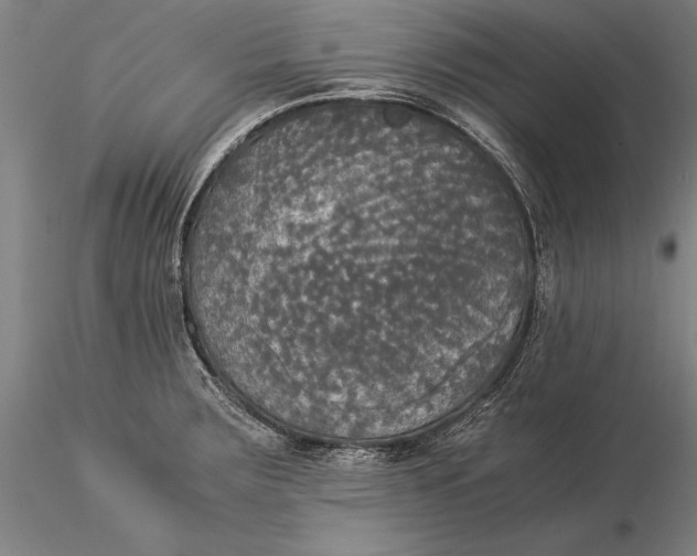 X0000116051283200912111455