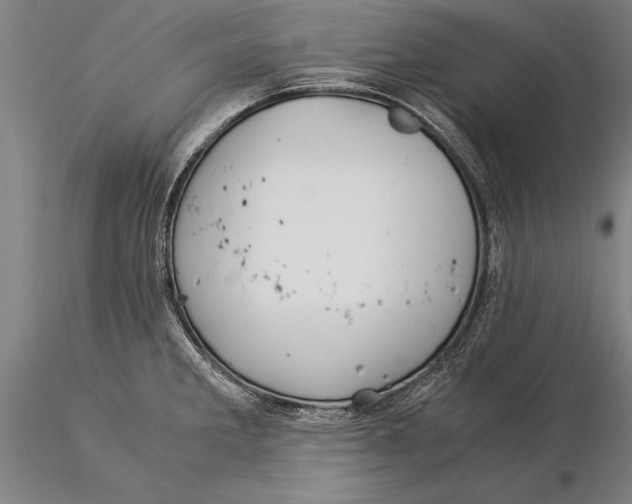 X0000116051285200912111455