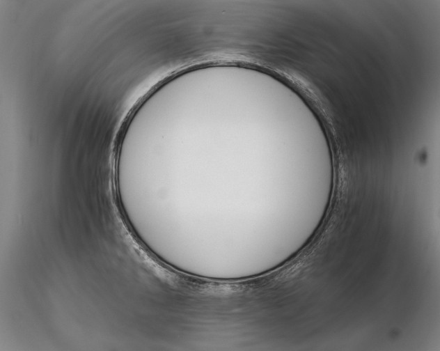 X0000116051286200912111455