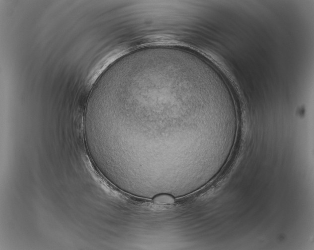 X0000116051289200912111455