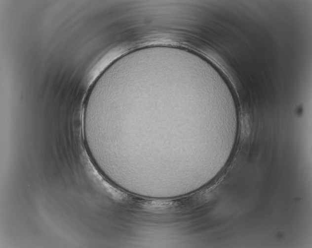 X0000116051290200912111455