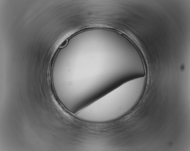 X0000116051293200912111455