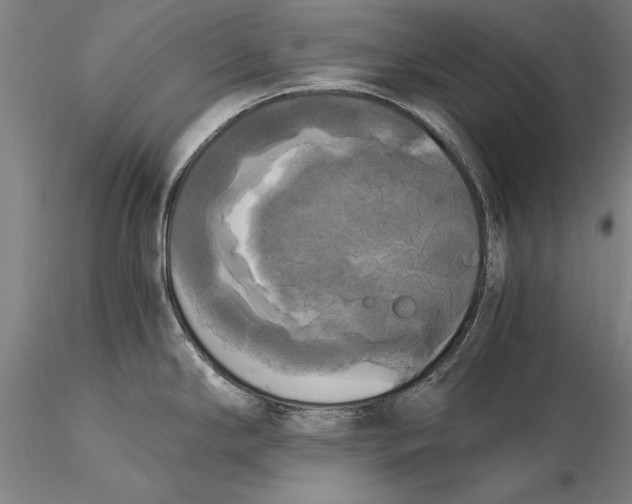 X0000116051294200912111455