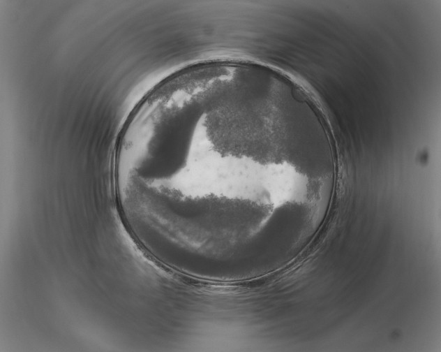 X0000116051295200912111455