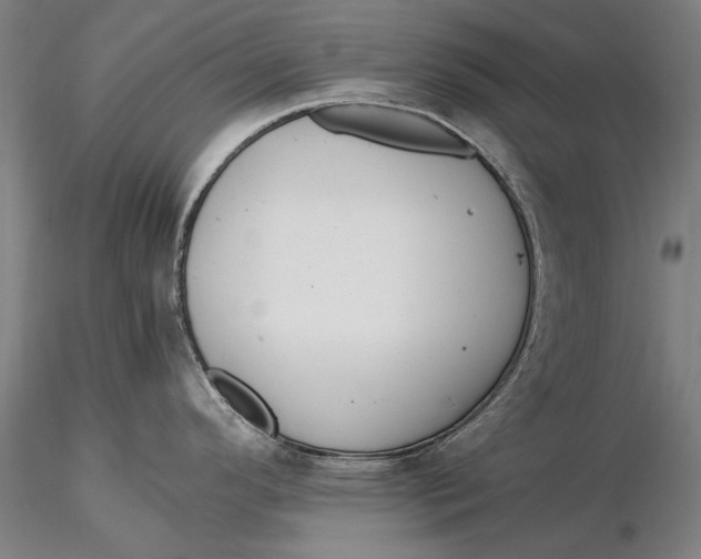 X0000116051296200912111455