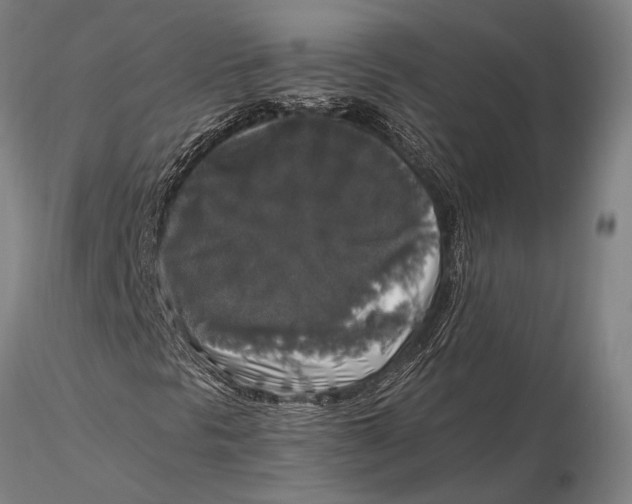 X0000116051297200912111454