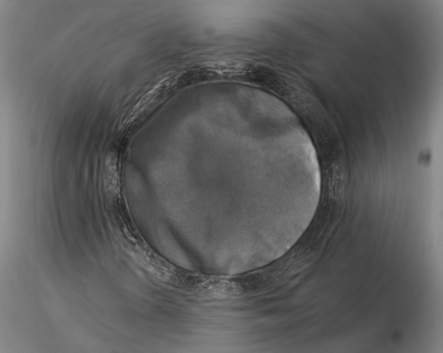 X0000116051298200912111454