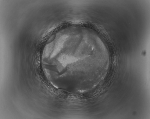 X0000116051301200912111454