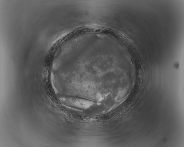 X0000116051302200912111454