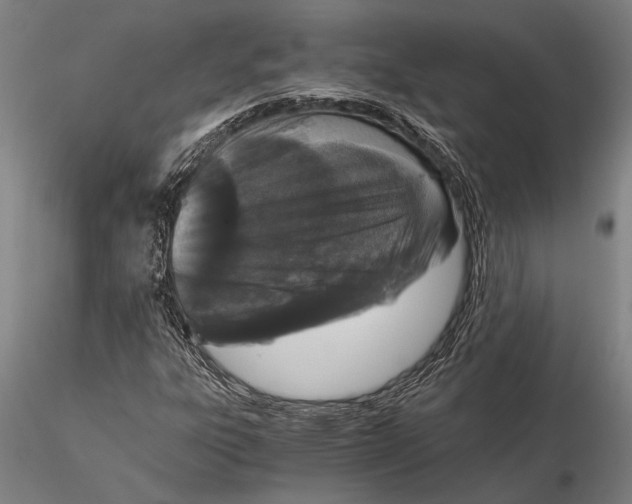 X0000116051303200912111454