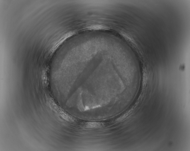 X0000116051305200912111454