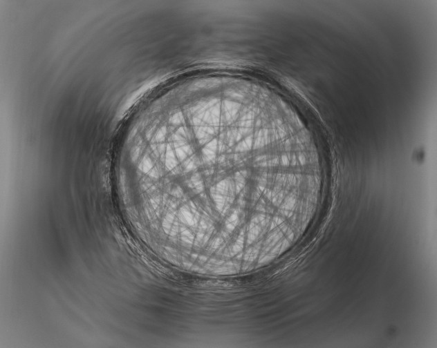 X0000116051307200912111454