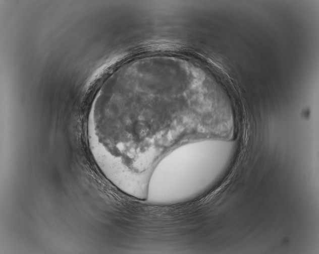 X0000116051309200912111454