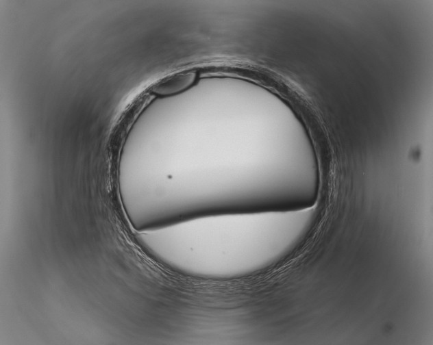 X0000116051310200912111454