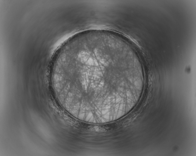 X0000116051311200912111454