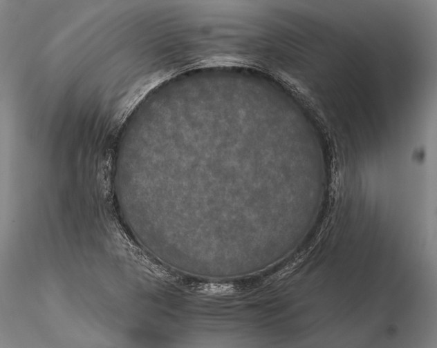X0000116051313200912111454