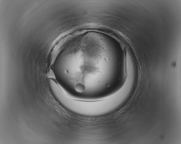 X0000116051314200912111455