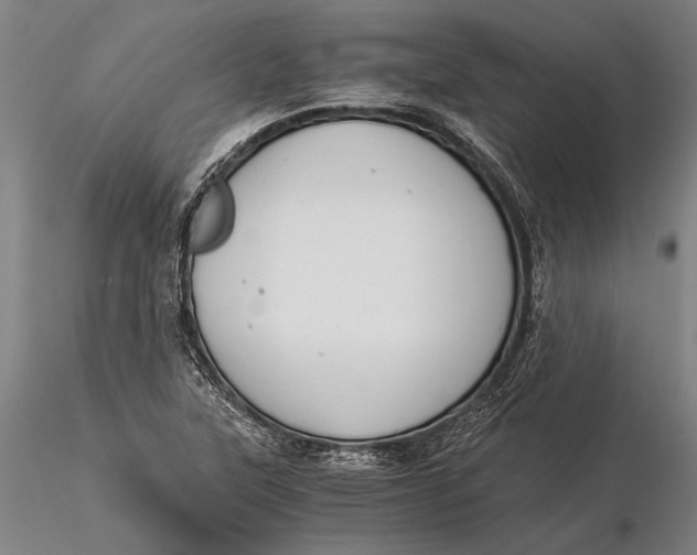 X0000116051315200912111455
