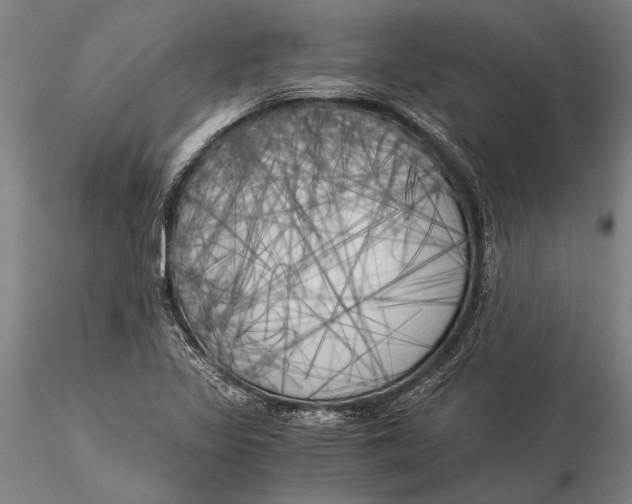 X0000116051317200912111455