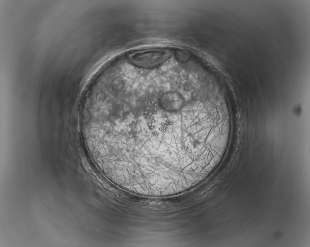 X0000116051318200912111455