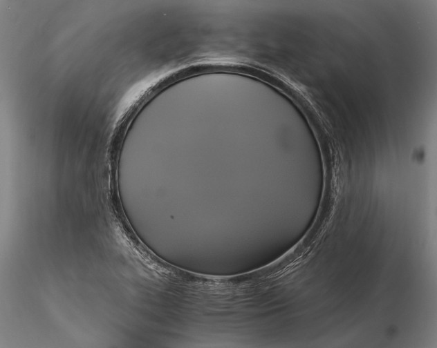 X0000116051319200912111455