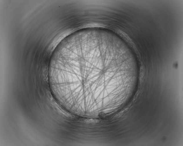 X0000116051321200912111455