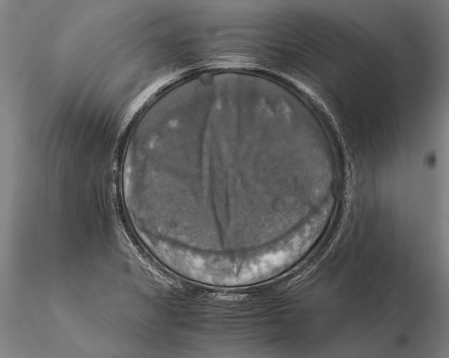 X0000116051325200912111455