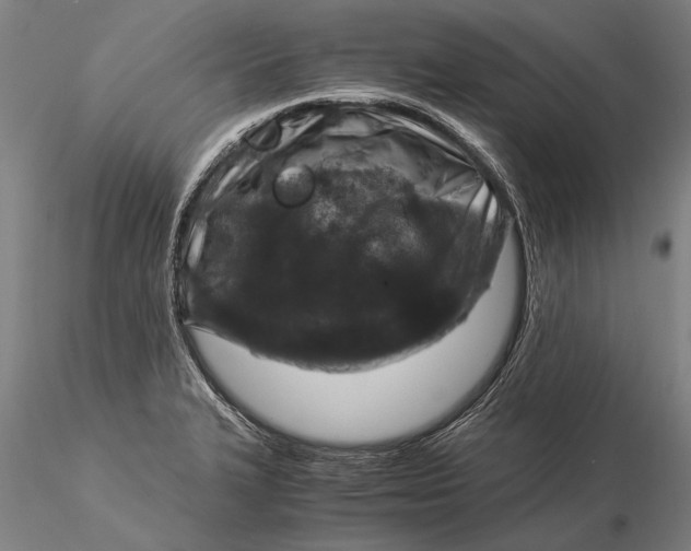 X0000116051327200912111455