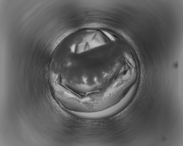 X0000116051329200912111455