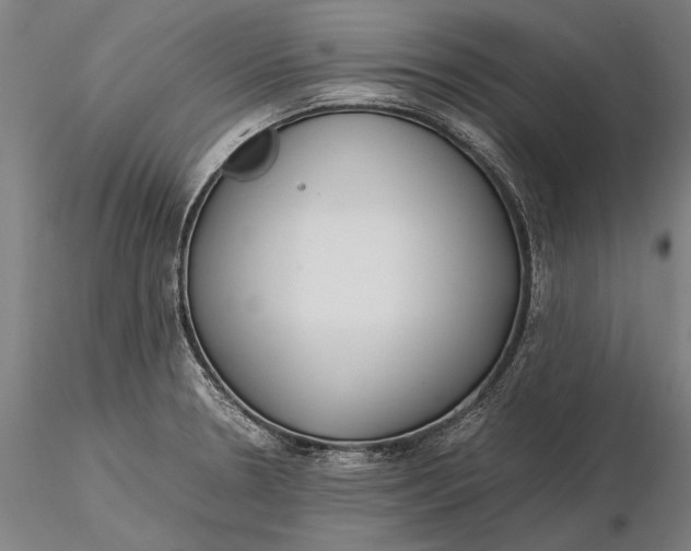 X0000116051330200912111455