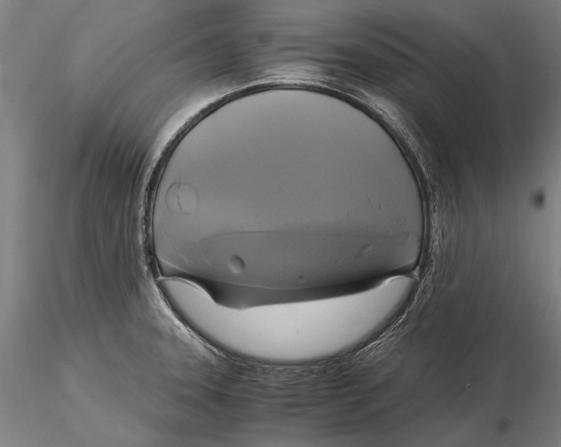 X0000116051331200912111455