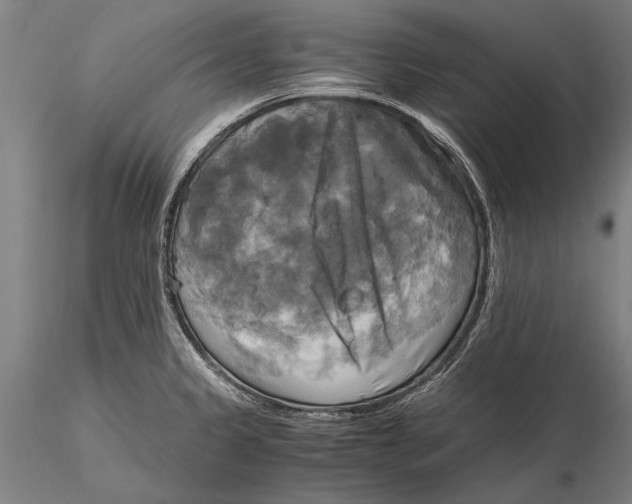 X0000116051333200912111455
