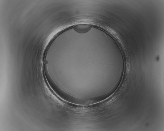X0000116051334200912111455