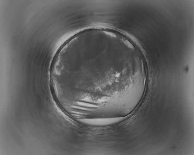 X0000116051335200912111455