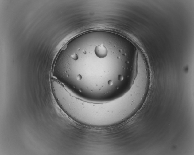 X0000116051338200912111455