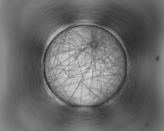 X0000116051341200912111455