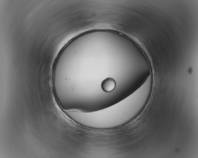 X0000116051342200912111455