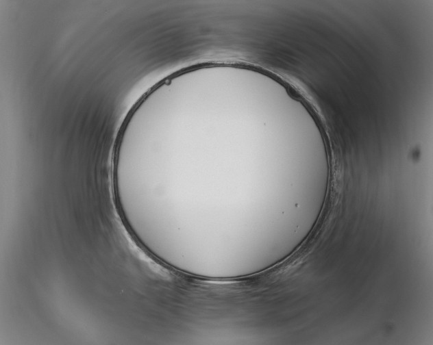 X0000116051343200912111455