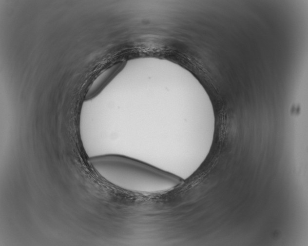 X0000116051345200912111454