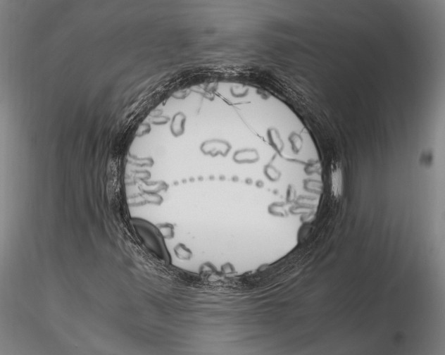 X0000116051347200912111454