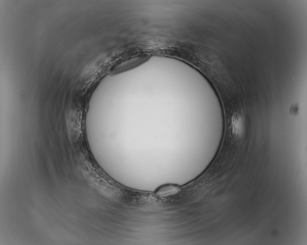 X0000116051348200912111454